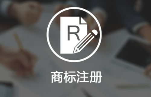 巧思益財(cái)稅公司涉案超100萬(wàn)元銷售假冒知名品牌產(chǎn)品獲刑